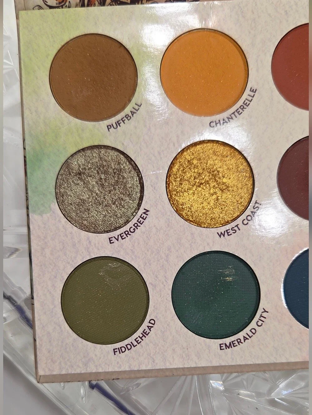 ColourPop x Raw Beauty Kristi At Forest Sight pressed powder palette